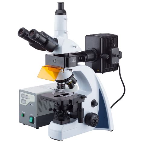 microscopio de fluorescencia